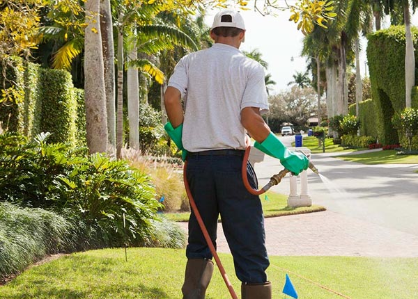 About Drexel NC Pest Control